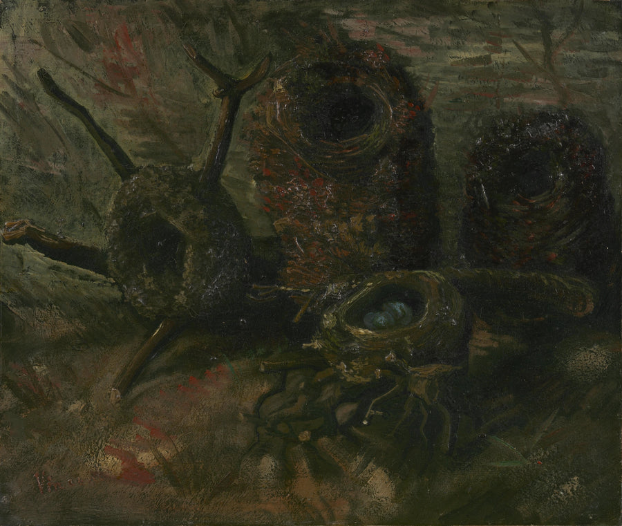 ninhos de pássaros - Vincent van Gogh