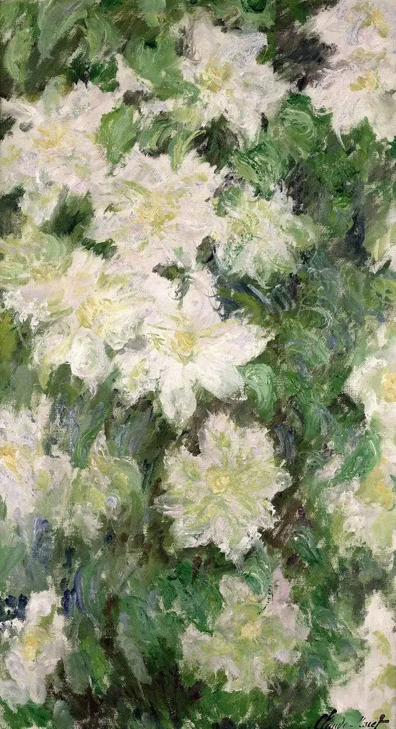 Clemátides brancas - Claude Monet