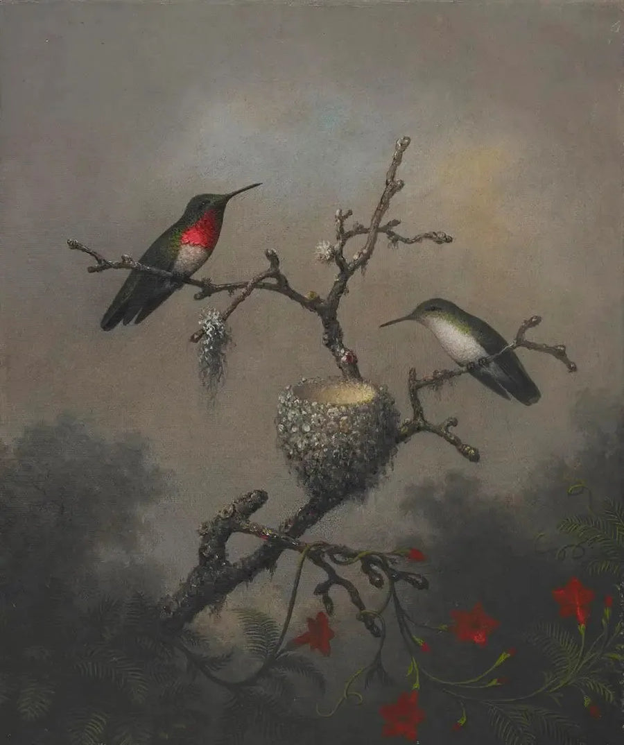 Colibri de garganta de rubi - Martin Johnson Heade