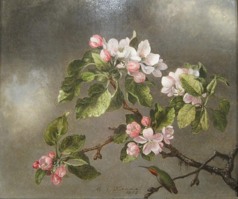 Colibri e flores de macieira - Martin Johnson Heade