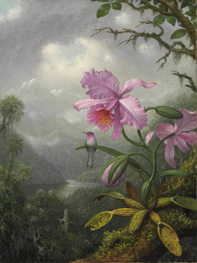 Colibri empoleirado na planta de orquídea - Martin Johnson Heade