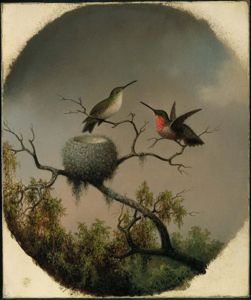  Beija-flores com ninho - Martin Johnson Heade