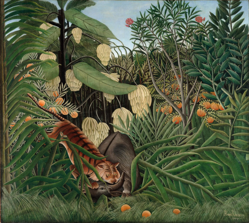 Confronto de tigre e búfalo - Henri Rousseau