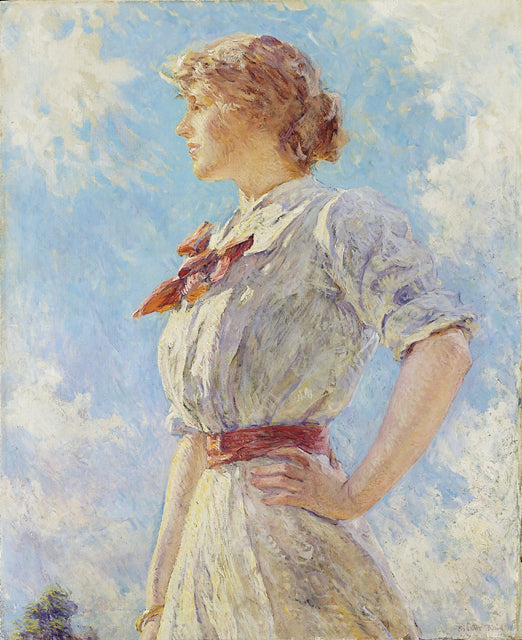 Contra o céu - Robert Lewis Reid