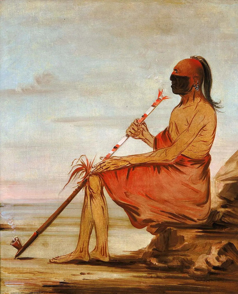 Coo-coo-coo, a coruja, um velho chefe - George Catlin