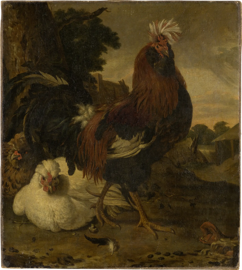Galo em uma fazenda - Melchior de Hondecoeter