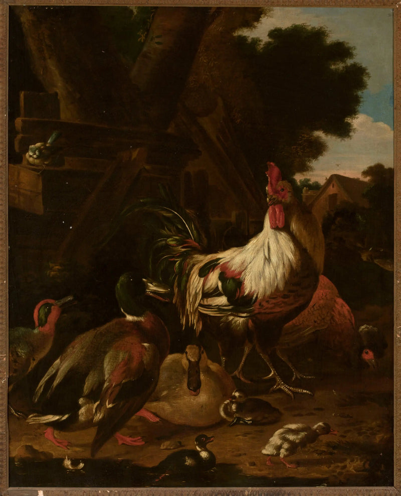 Galo e patos - Melchior de Hondecoeter