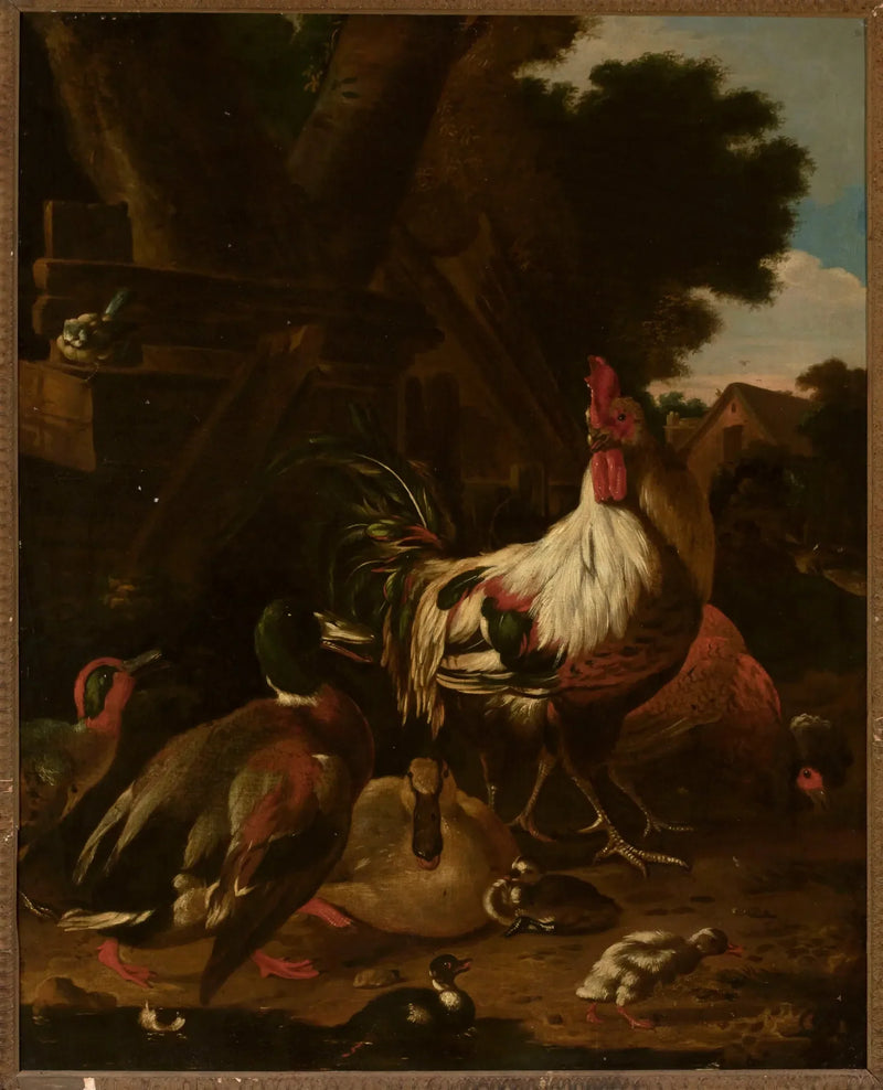 Galo e patos - Melchior de Hondecoeter