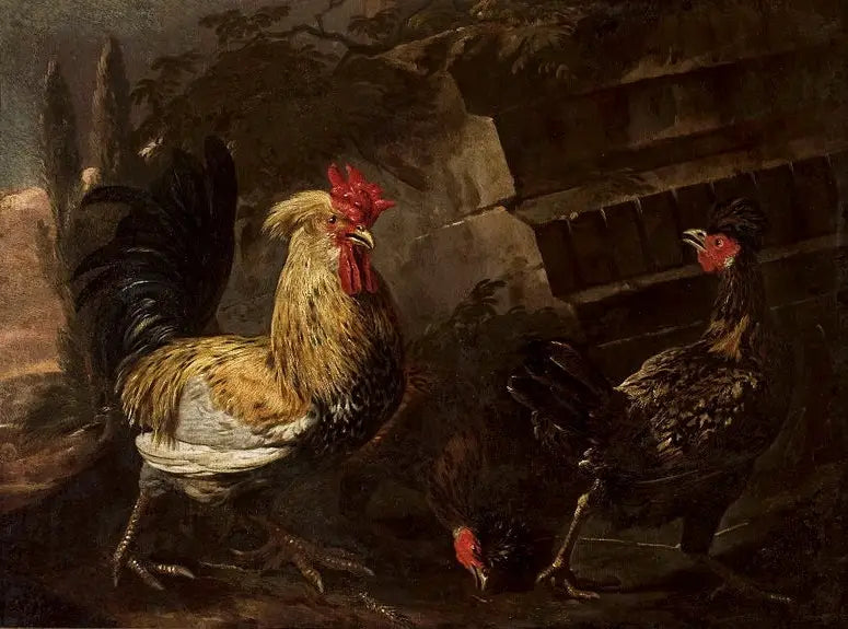 Galo e galinhas. - Melchior de Hondecoeter
