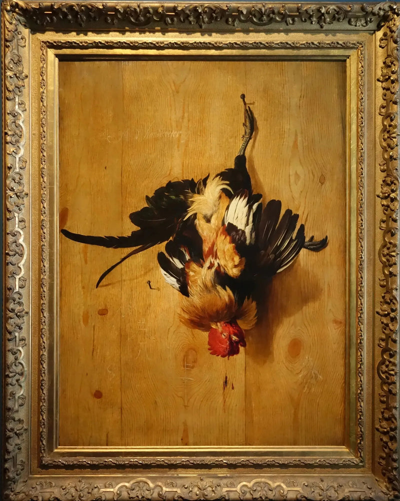 Galo morto - Melchior de Hondecoeter