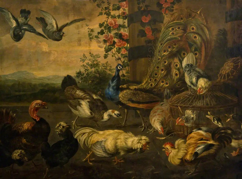 Galo de combate - Melchior de Hondecoeter