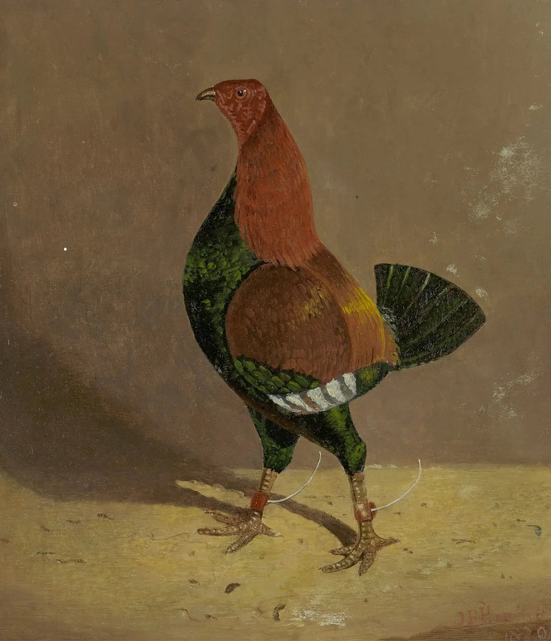 Galo de combate: um galo de combate com peito escuro, voltado para a esquerda - John Frederick Herring, Sr.
