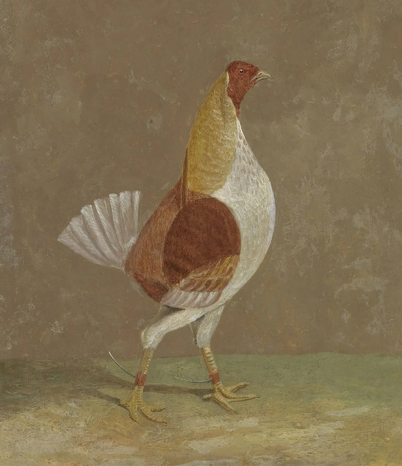 Galo de combate: um galo de combate com peito pálido, voltado para a direita - John Frederick Herring, Sr.