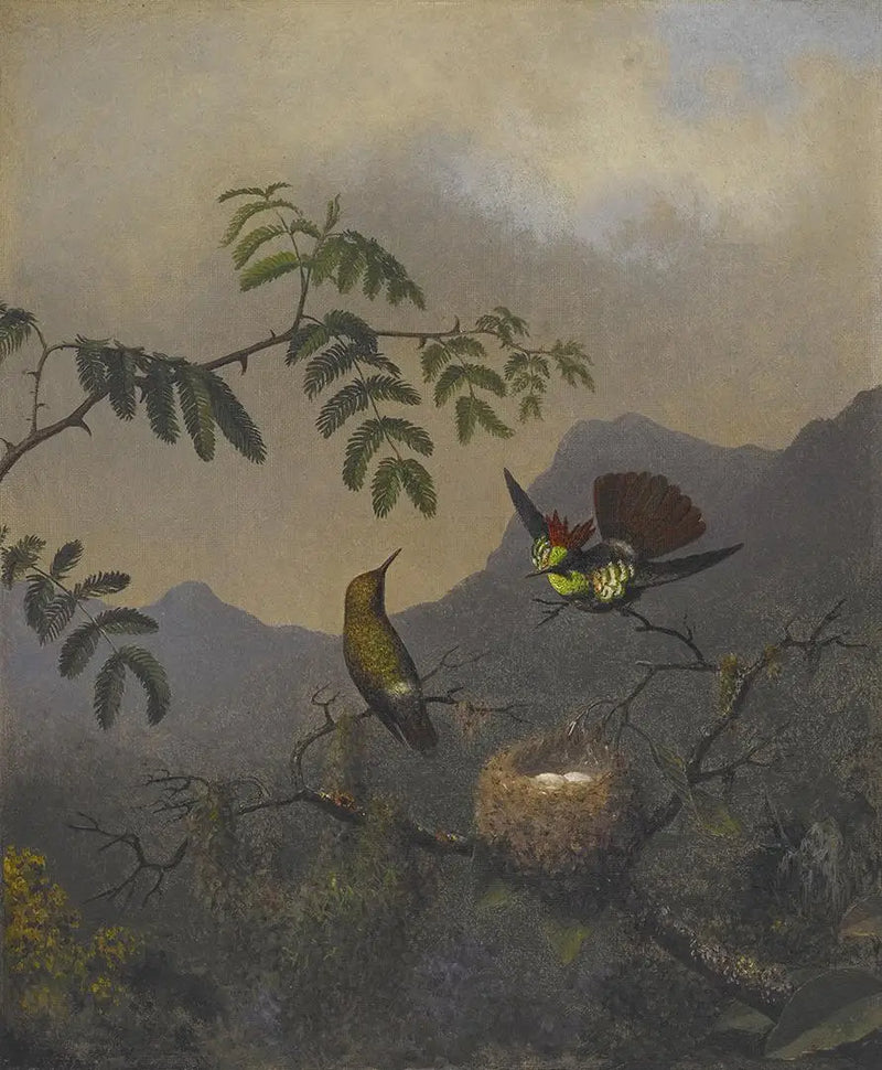 Coquette com babados - Martin Johnson Heade