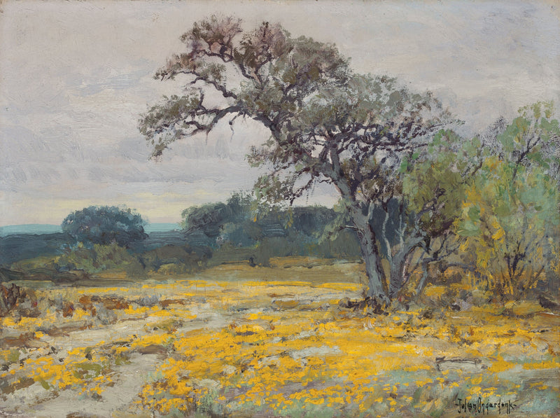 Coréopsis, perto de San Antonio, Texas - Julian Onderdonk