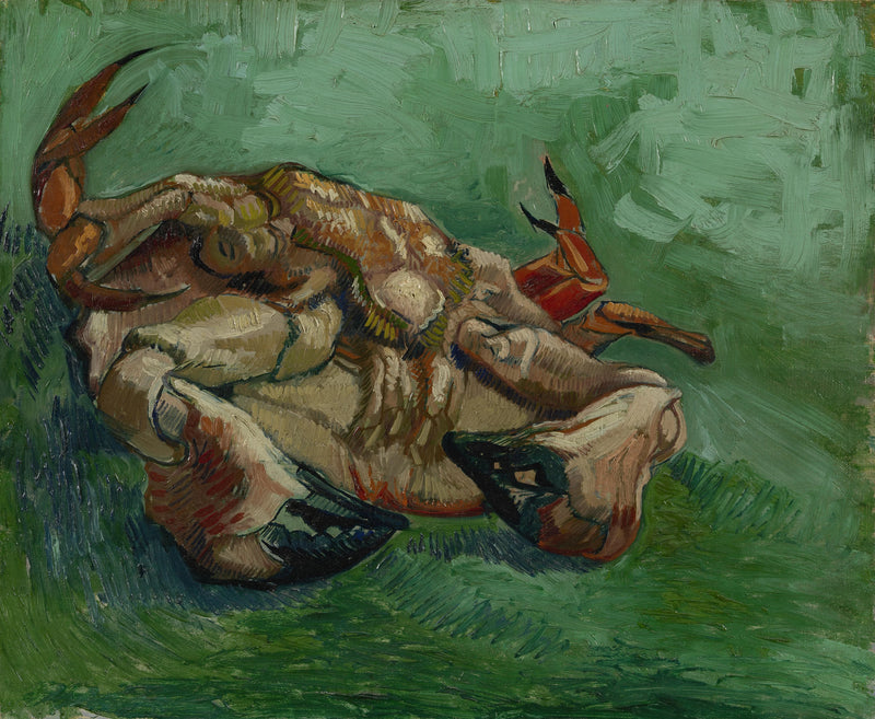 Caranguejo, deitado de costas - Vincent van Gogh