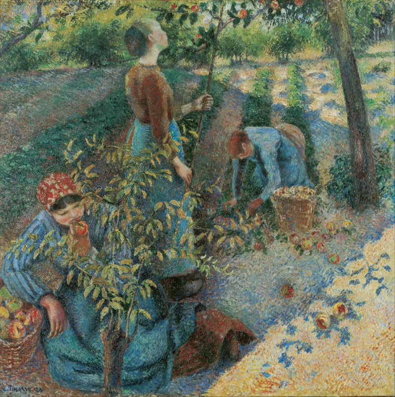 Colheita de maçãs - Camille Pissarro