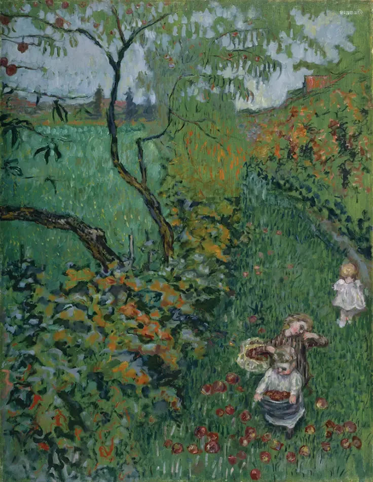 Colheita de maçãs - Pierre Bonnard