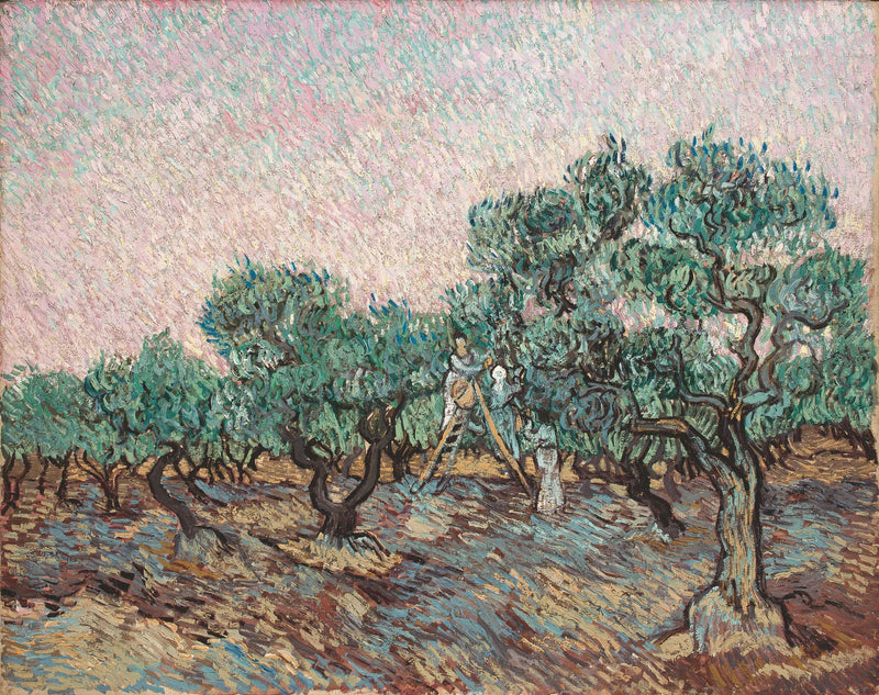A Colheita das Azeitonas - Vincent van Gogh