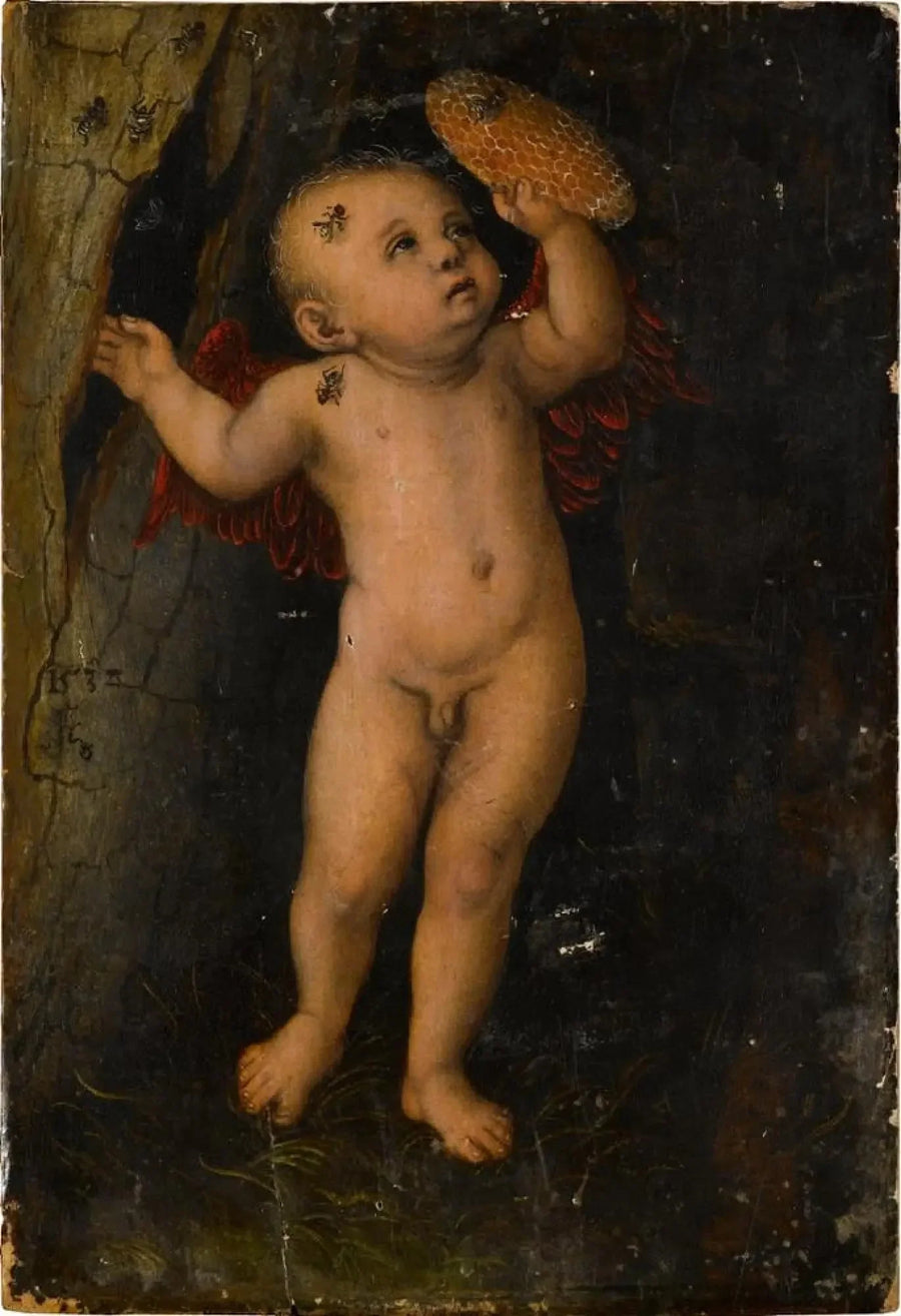Cupido como ladrão de mel - Lucas Cranach, o Velho