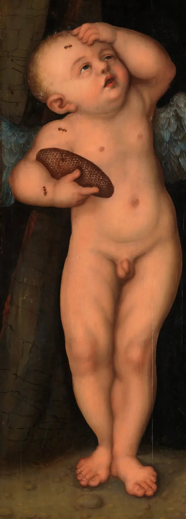Cupido como ladrão de mel - Lucas Cranach, o Velho