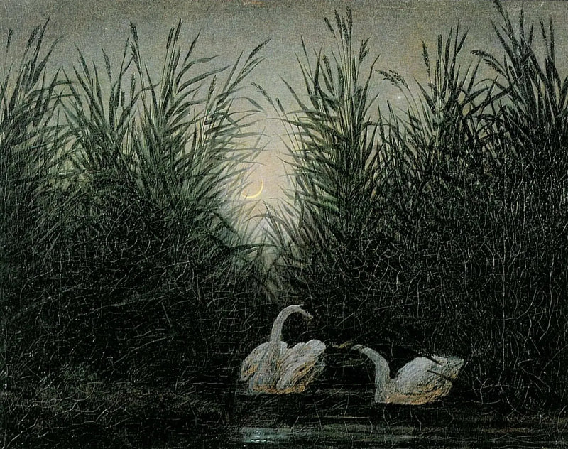 Cisnes nos juncos ao amanhecer - Caspar David Friedrich