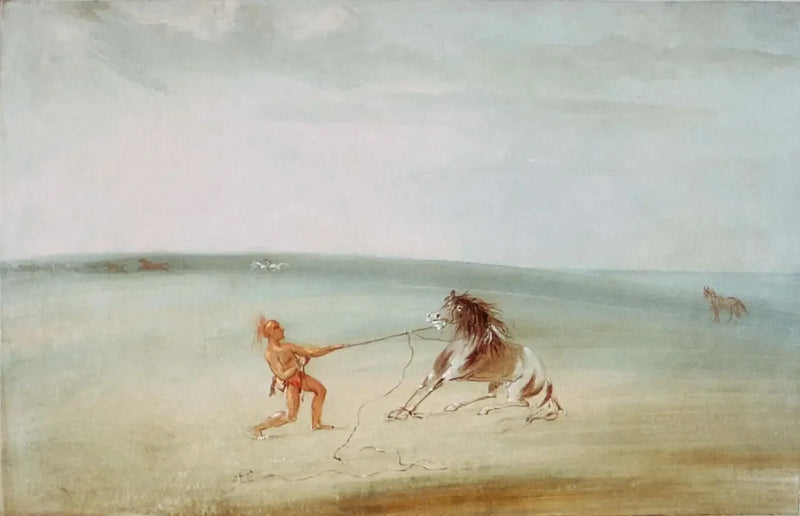 Decompor o cavalo selvagem - George Catlin