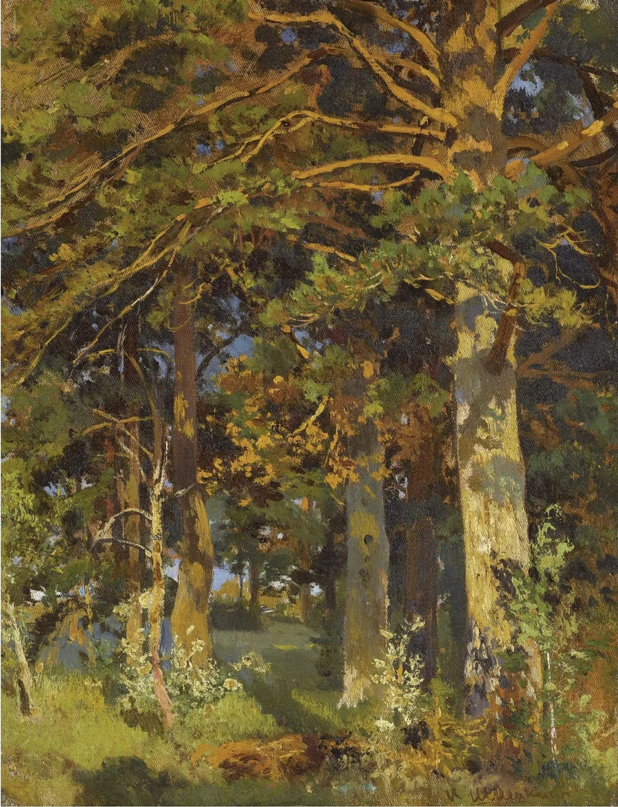 Desmatamento florestal - Ivan Chichkine