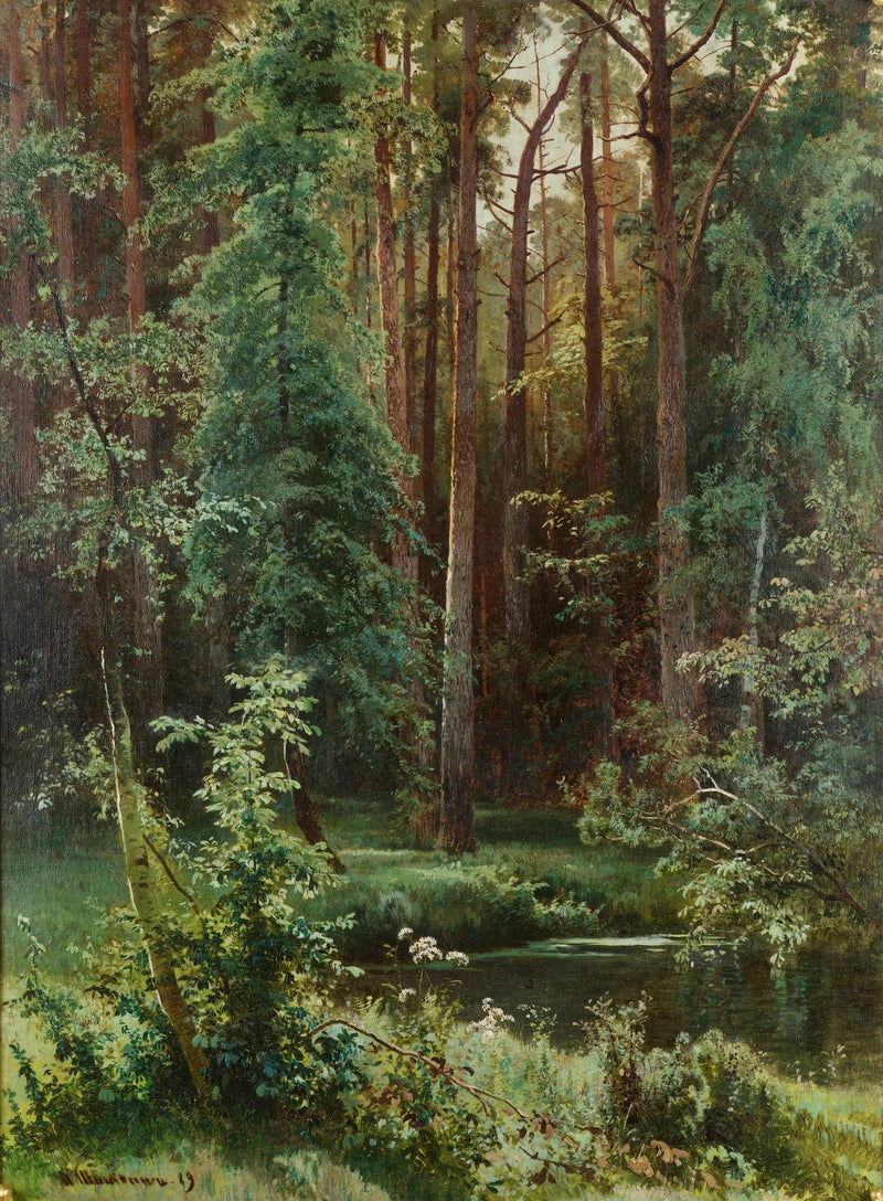 Madeiras - Ivan Chichkine