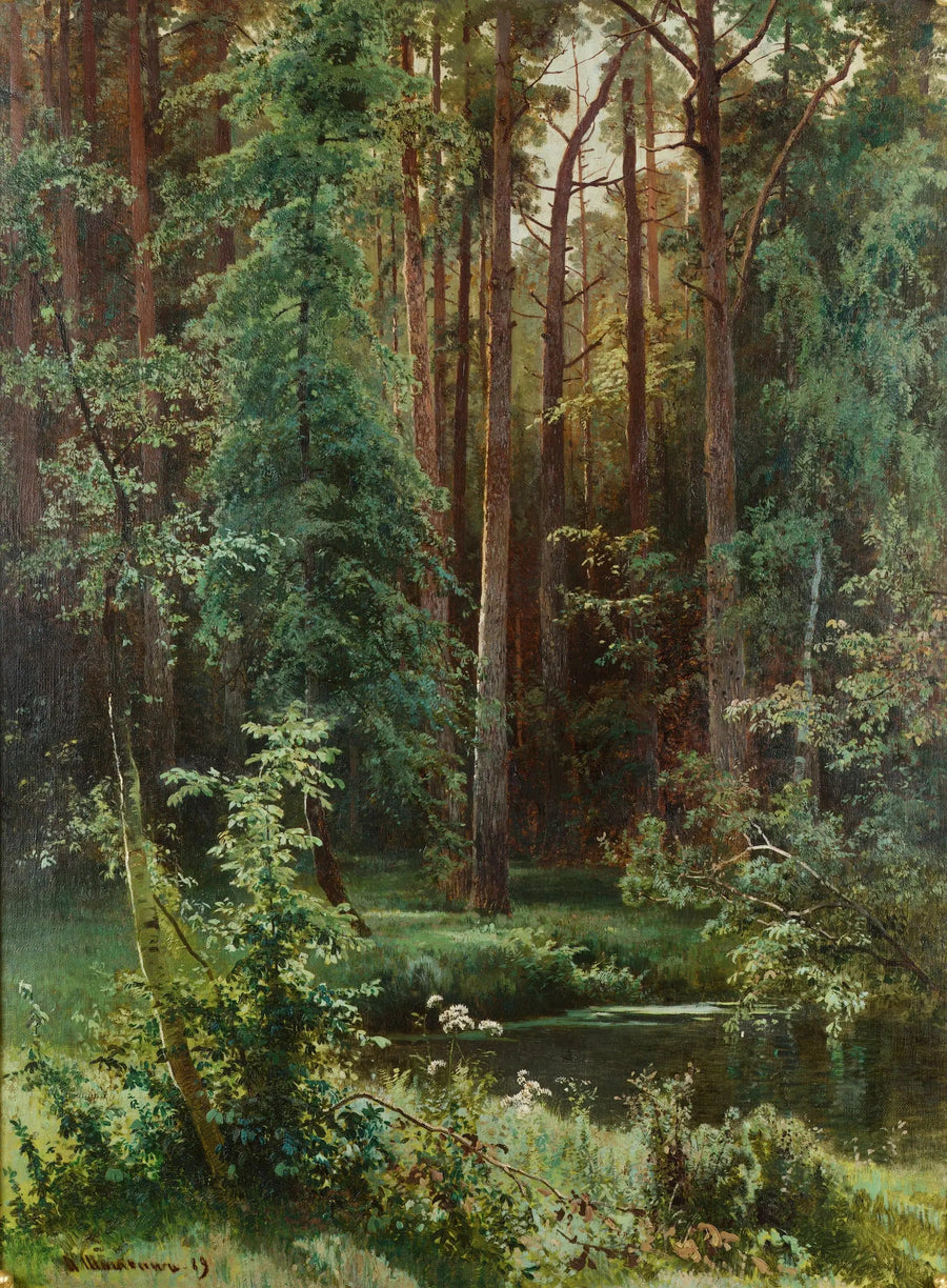 Madeiras - Ivan Chichkine