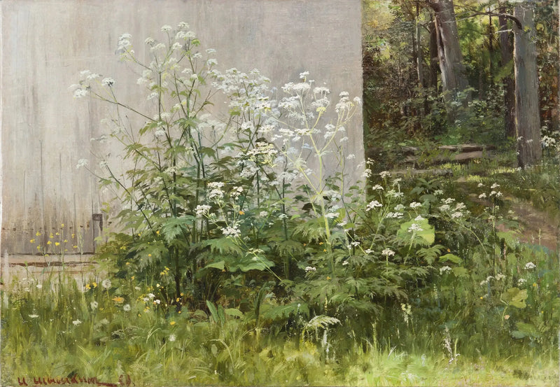 Flores na cerca - Ivan Chichkine