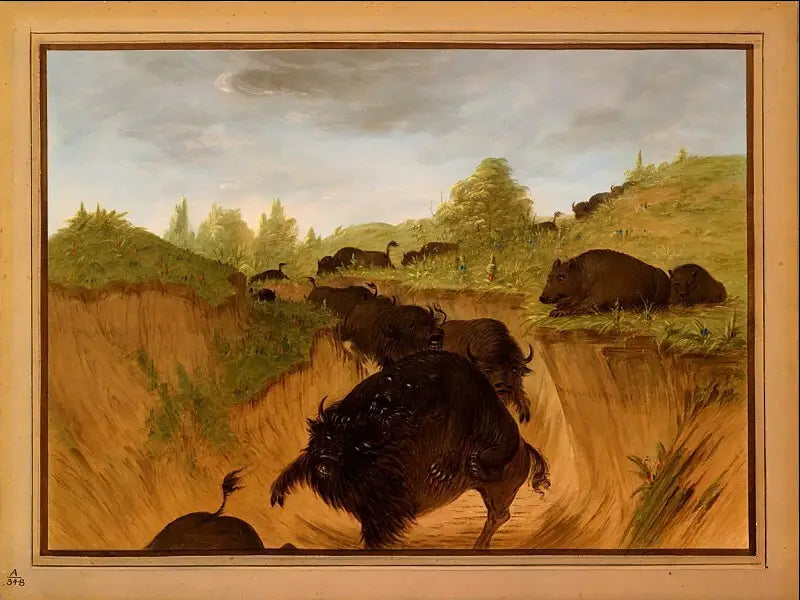 Grizzlies atacando bisontes - George Catlin