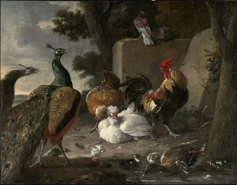 Pavões acompanhados de aves de galinheiro - Melchior de Hondecoeter