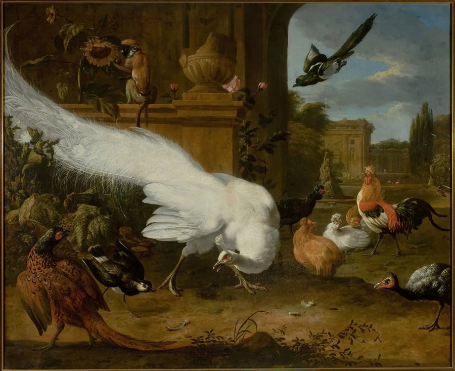 Aves de capoeira e um pavão branco - Melchior de Hondecoeter