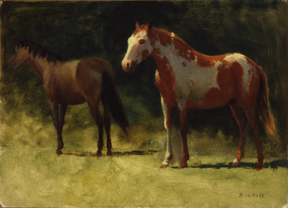 Deux chevaux - Albert Bierstadt - Alpha Reproduction