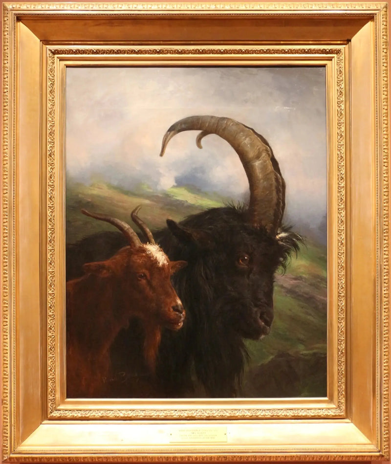 Duas cabras - Rosa Bonheur