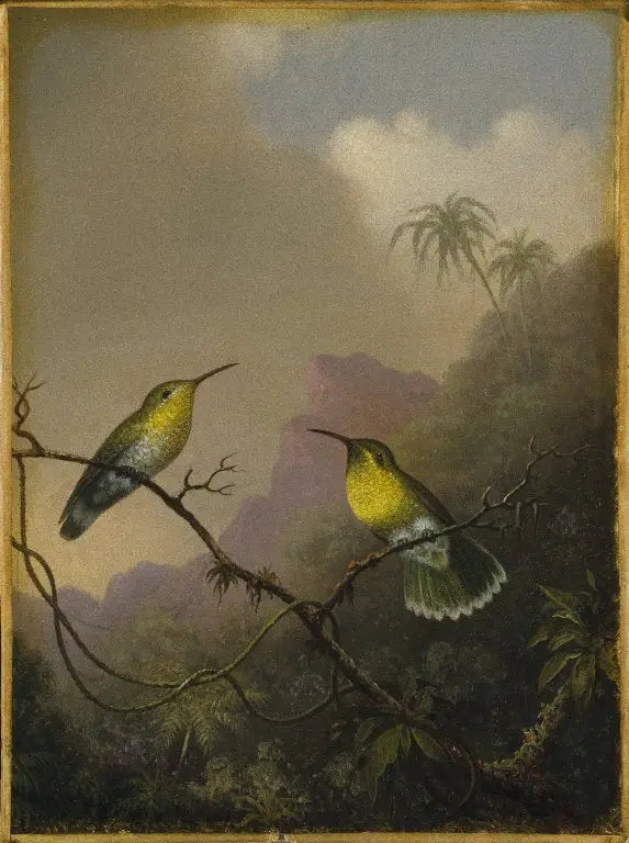 Dois beija-flores: o amazili de cauda cobreada - Martin Johnson Heade