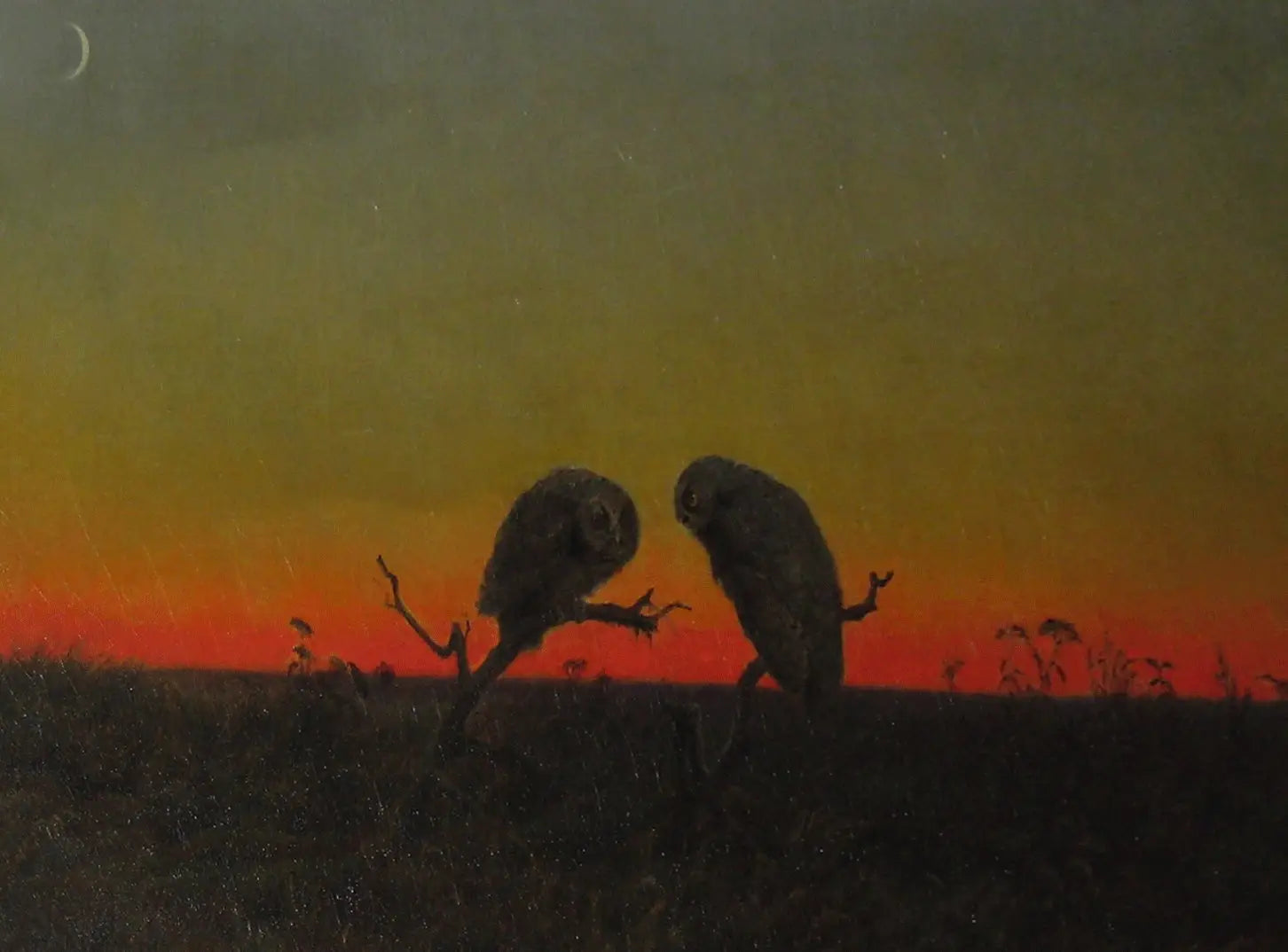 Deux hiboux au coucher du soleil - Martin Johnson Heade image 1 tableau peint à l’huile sur toile