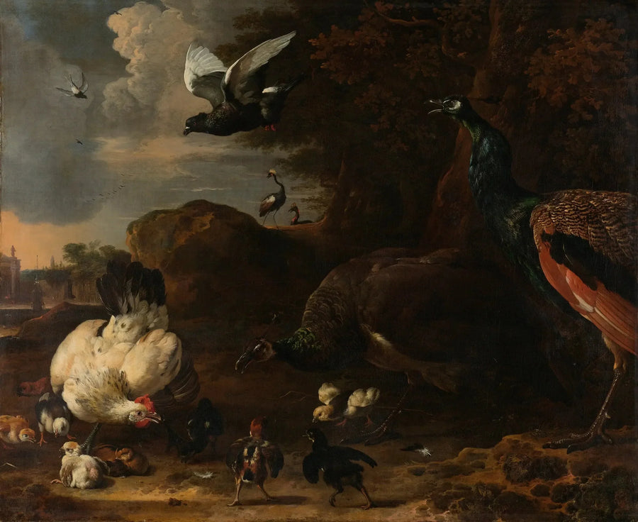 Dois pavões ameaçando uma galinha com pintinhos, conhecida como « a galinha ameaçada » - Melchior de Hondecoeter