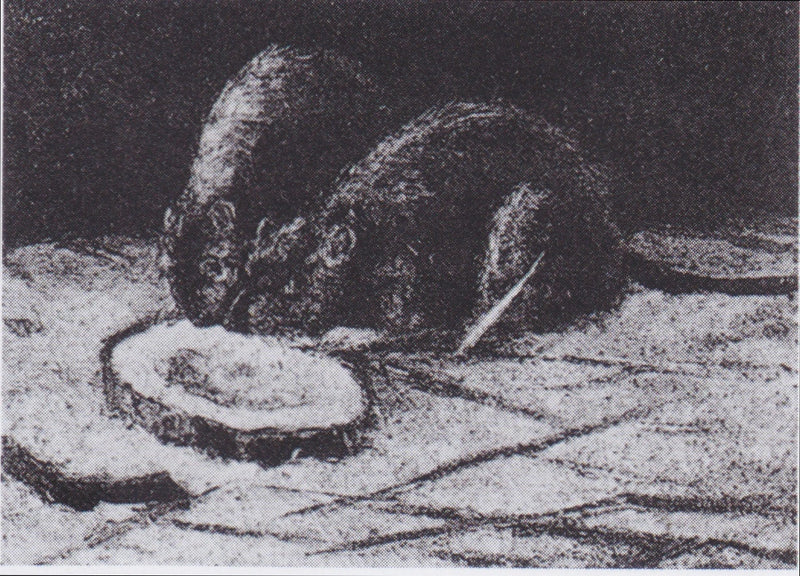 Dois ratos - Vincent van Gogh
