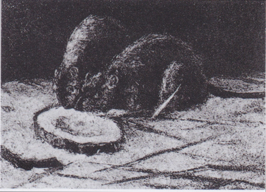 Dois ratos - Vincent van Gogh