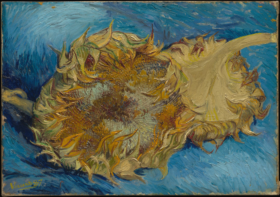 Dois Girassóis - Vincent van Gogh
