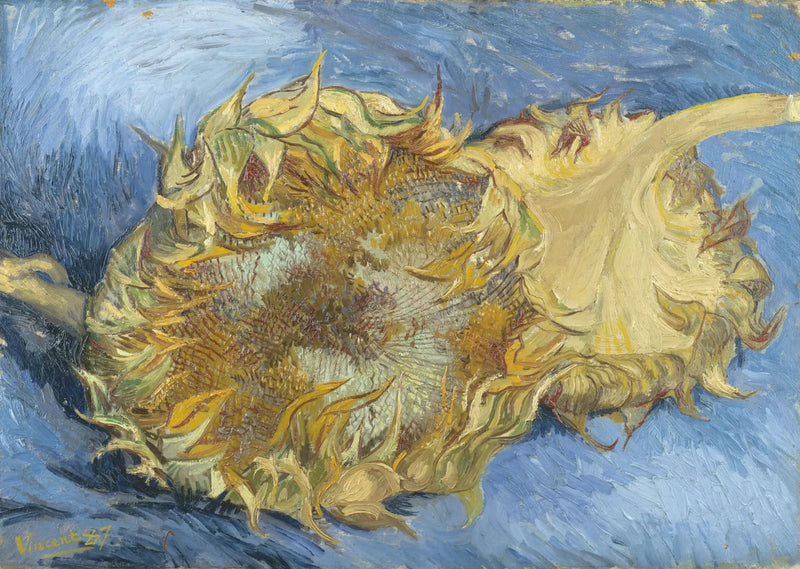 Dois Girassóis - Vincent van Gogh