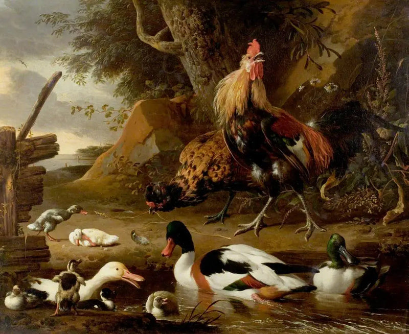 Duas aves de capoeira e patos em um lago - Melchior de Hondecoeter