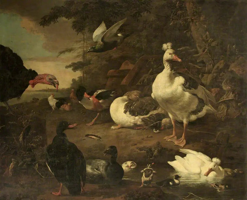 Peru, gansos, pato de Belon e outras aves de capoeira, em uma paisagem com um riacho - Melchior de Hondecoeter