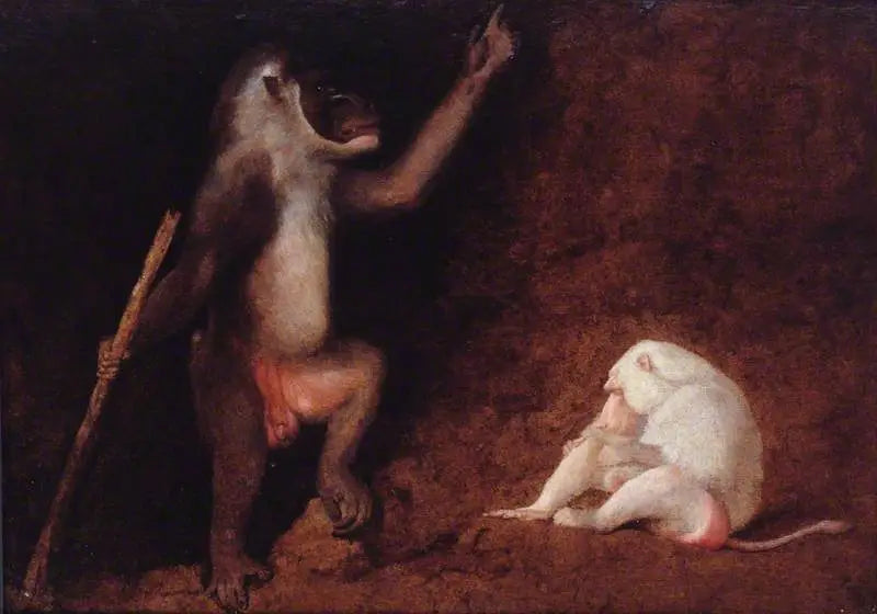 Broca e babuíno albino - George Stubbs