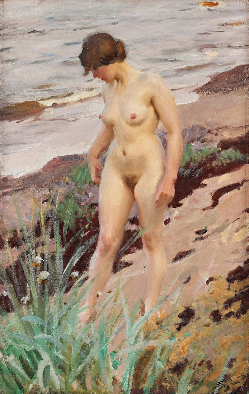 Efeito Sandhamn - Anders Zorn