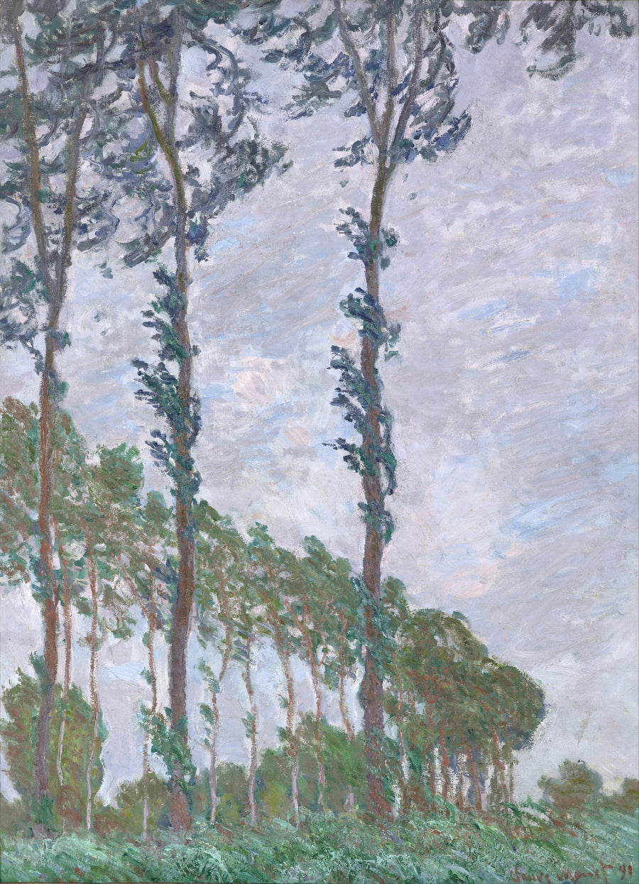 Efeito de vento, série dos choupos - Claude Monet