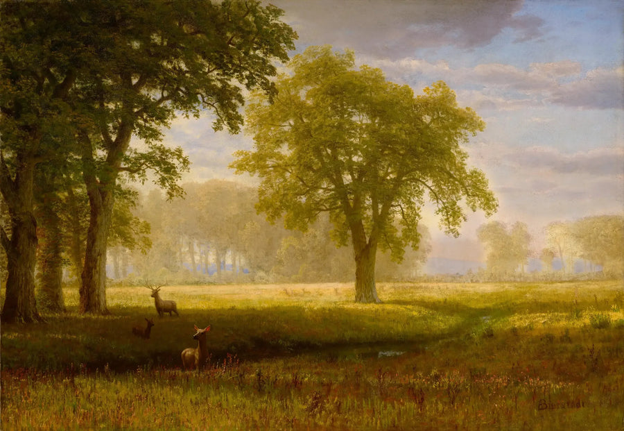 Élan em Oak Grove (Tuolumne Meadows) - Albert Bierstadt