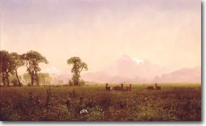 Elans pastando na região de Wind River - Albert Bierstadt